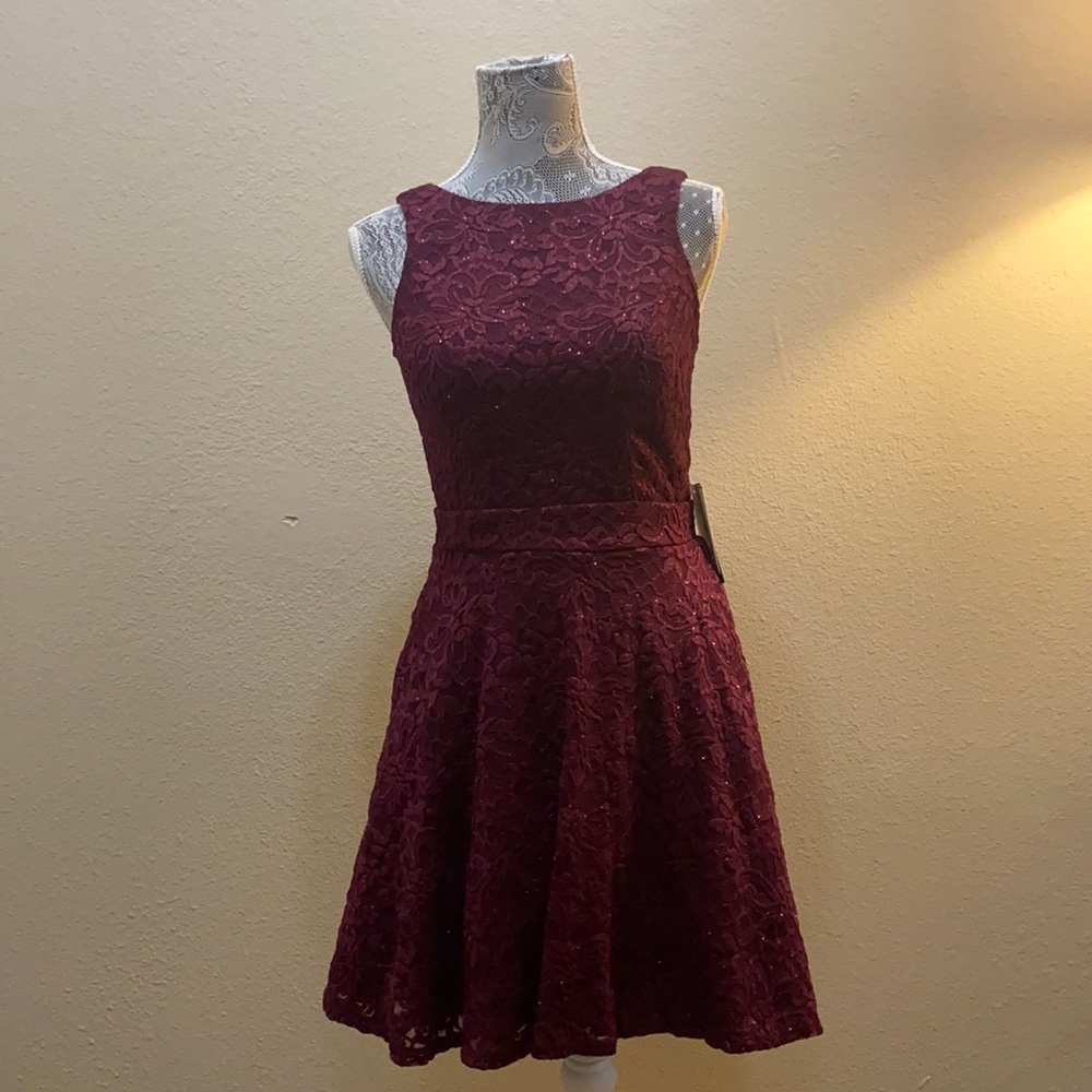 Sparkly Burgundy Party Dress
